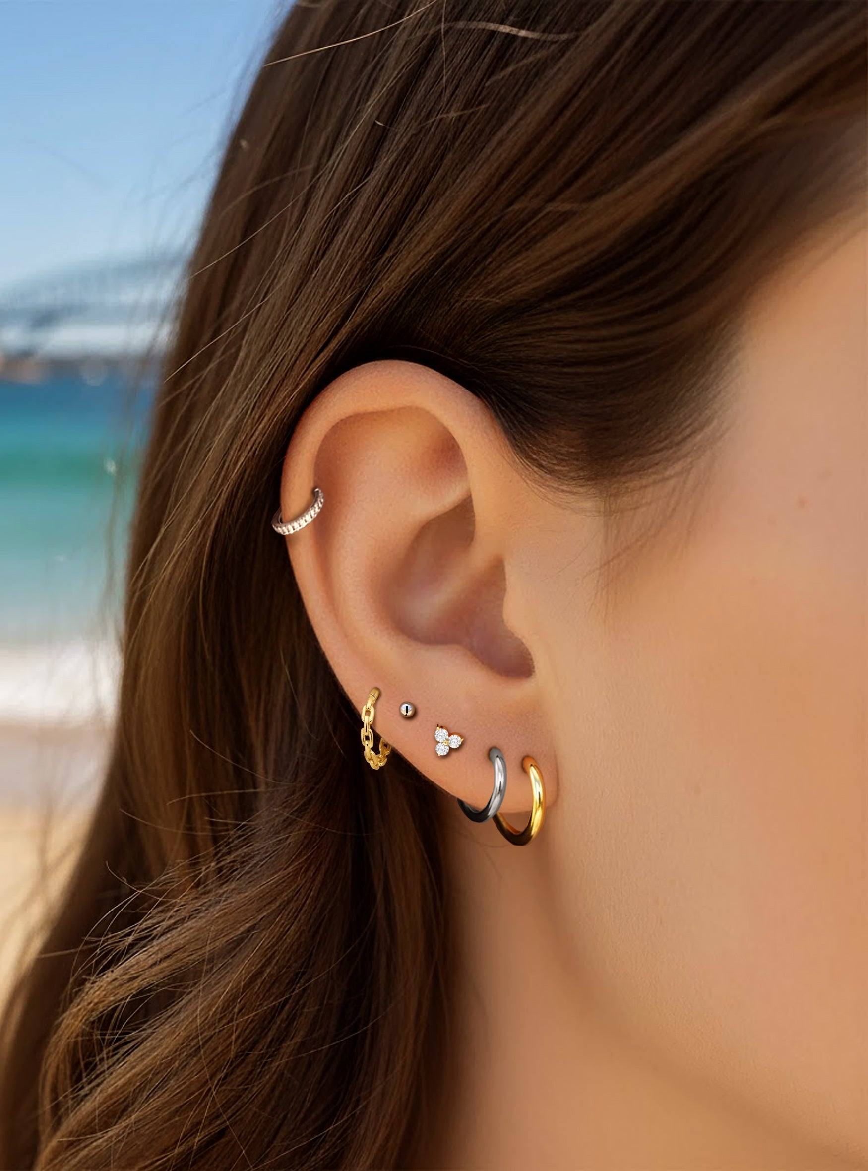 Hinged Hoop Segment Ring Thick 2pc (Titanium - Rose)