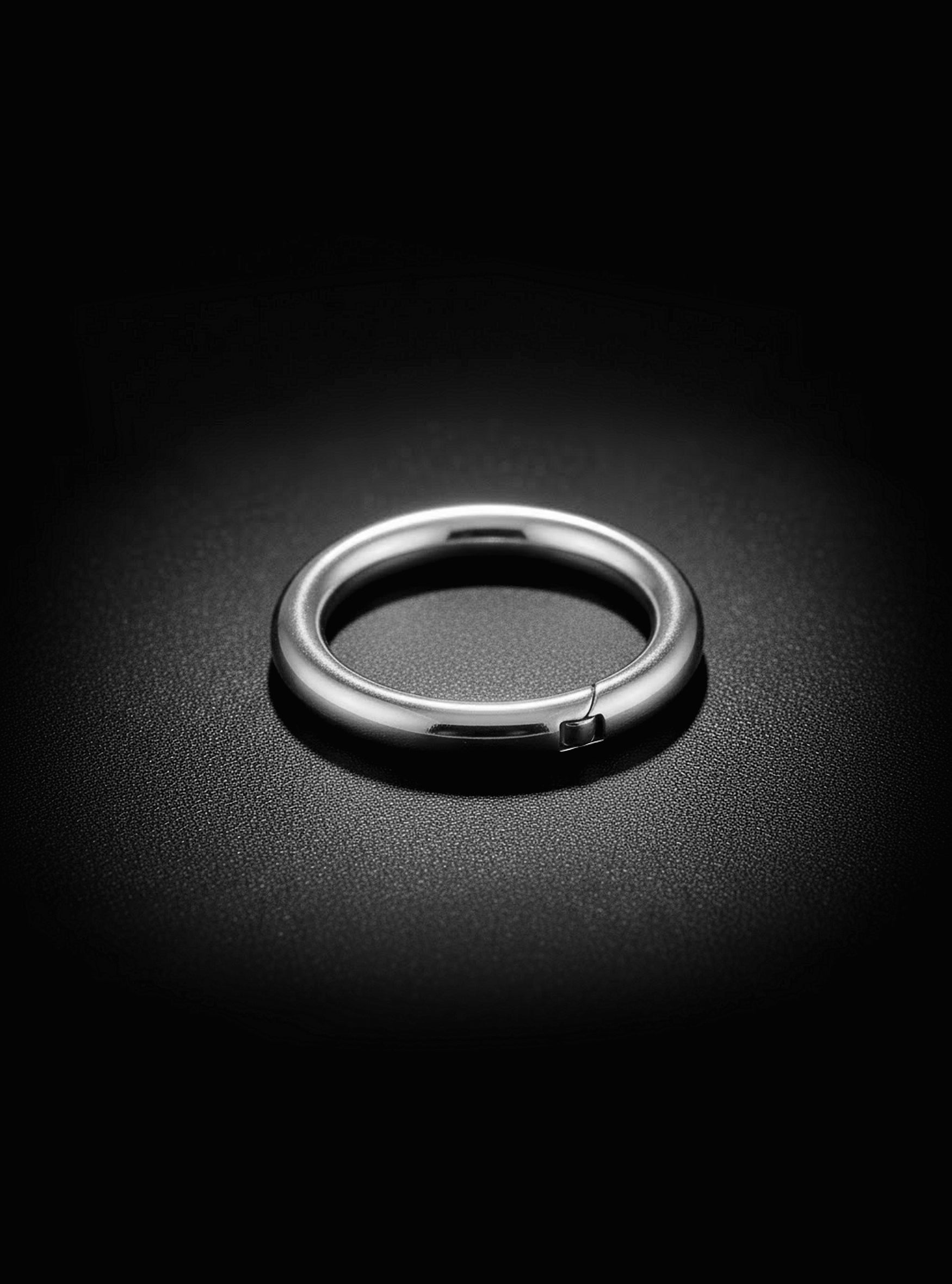Hinged Hoop Segment Ring Thick 2pc (Titanium - Plain)