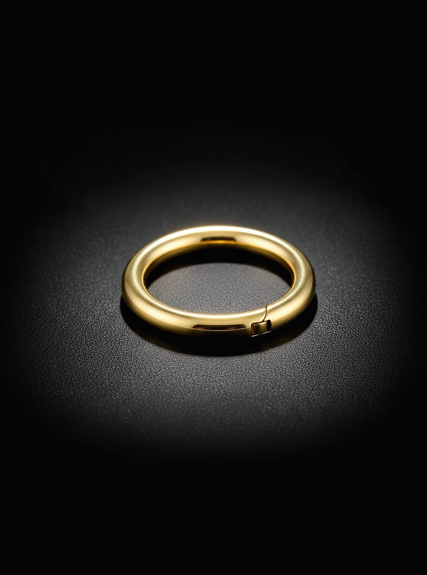 G23 Titanium Hinged Hoop Segment Ring Thick | 14G-6G Body Jewellery | 2pc (Titanium - Yellow)