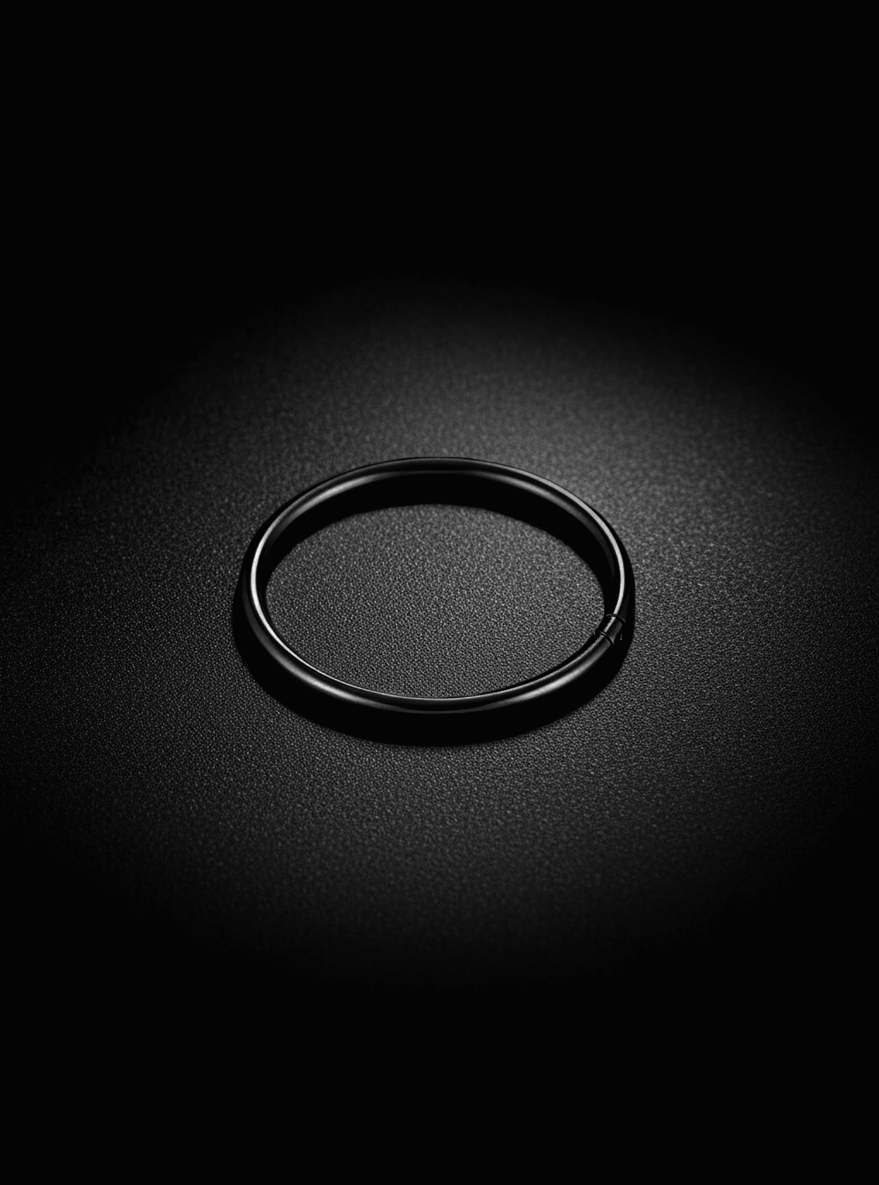 G23 Titanium Hinged Hoop Segment Ring | 20G-16G Body Jewellery | 2pc (Titanium - Black)