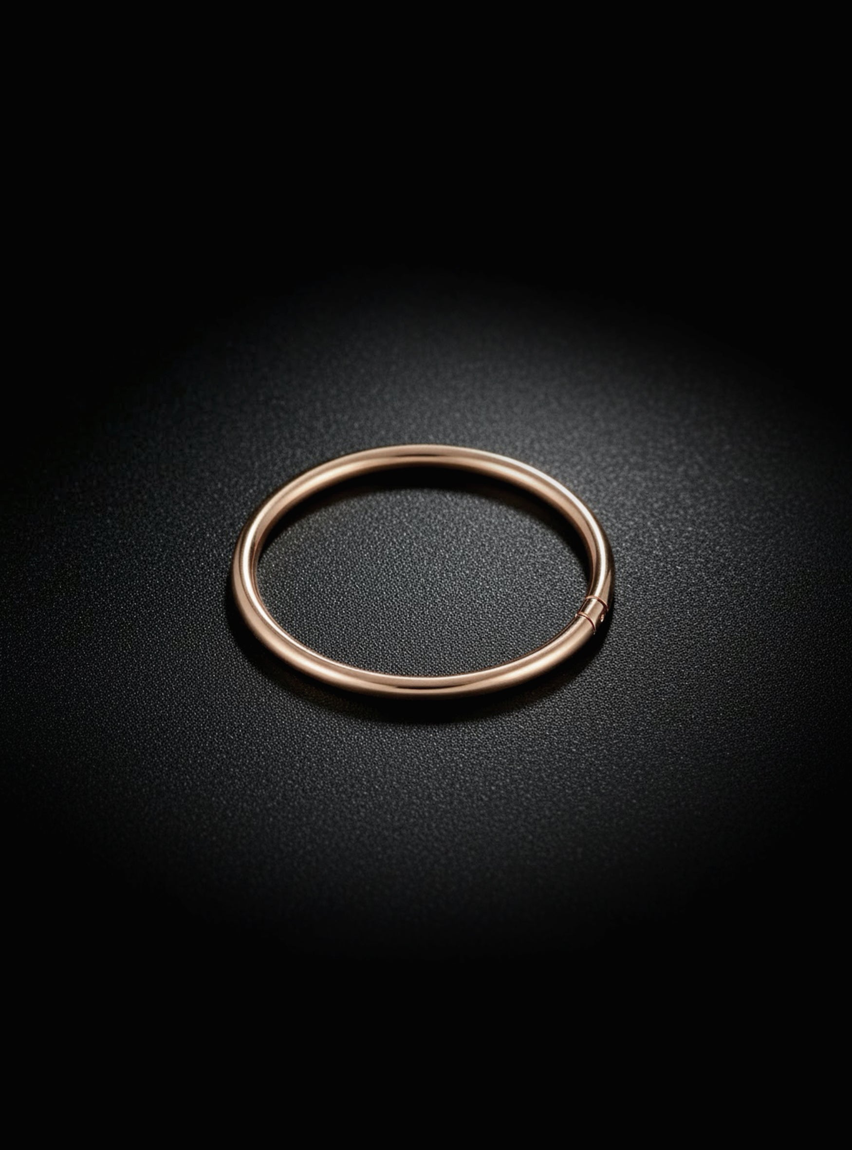 Hinged Hoop Segment Ring 2pc (Titanium - Rose)