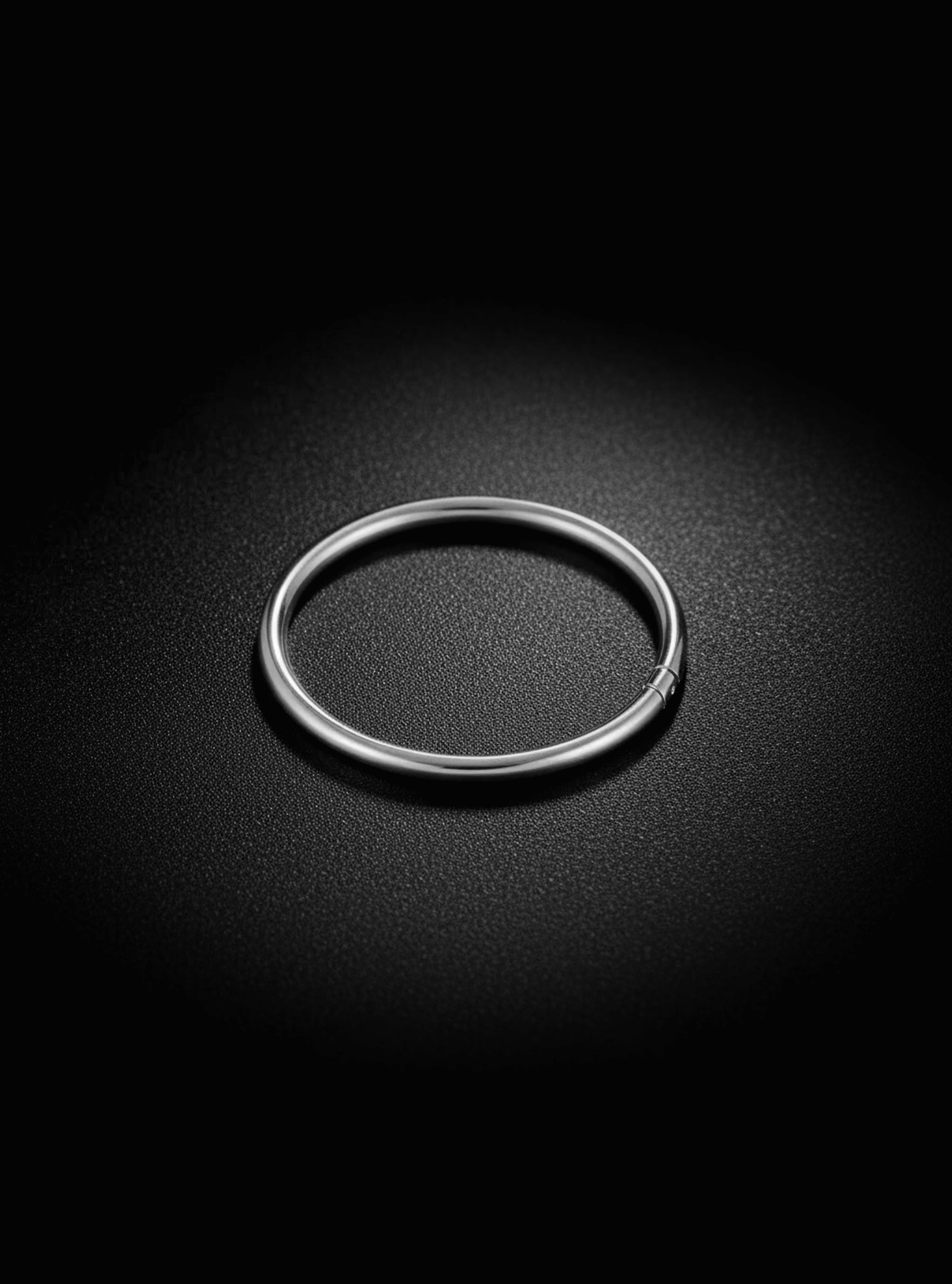 G23 Titanium Hinged Hoop Segment Ring | 20G-16G Body Jewellery | 2pc (Titanium - Plain)
