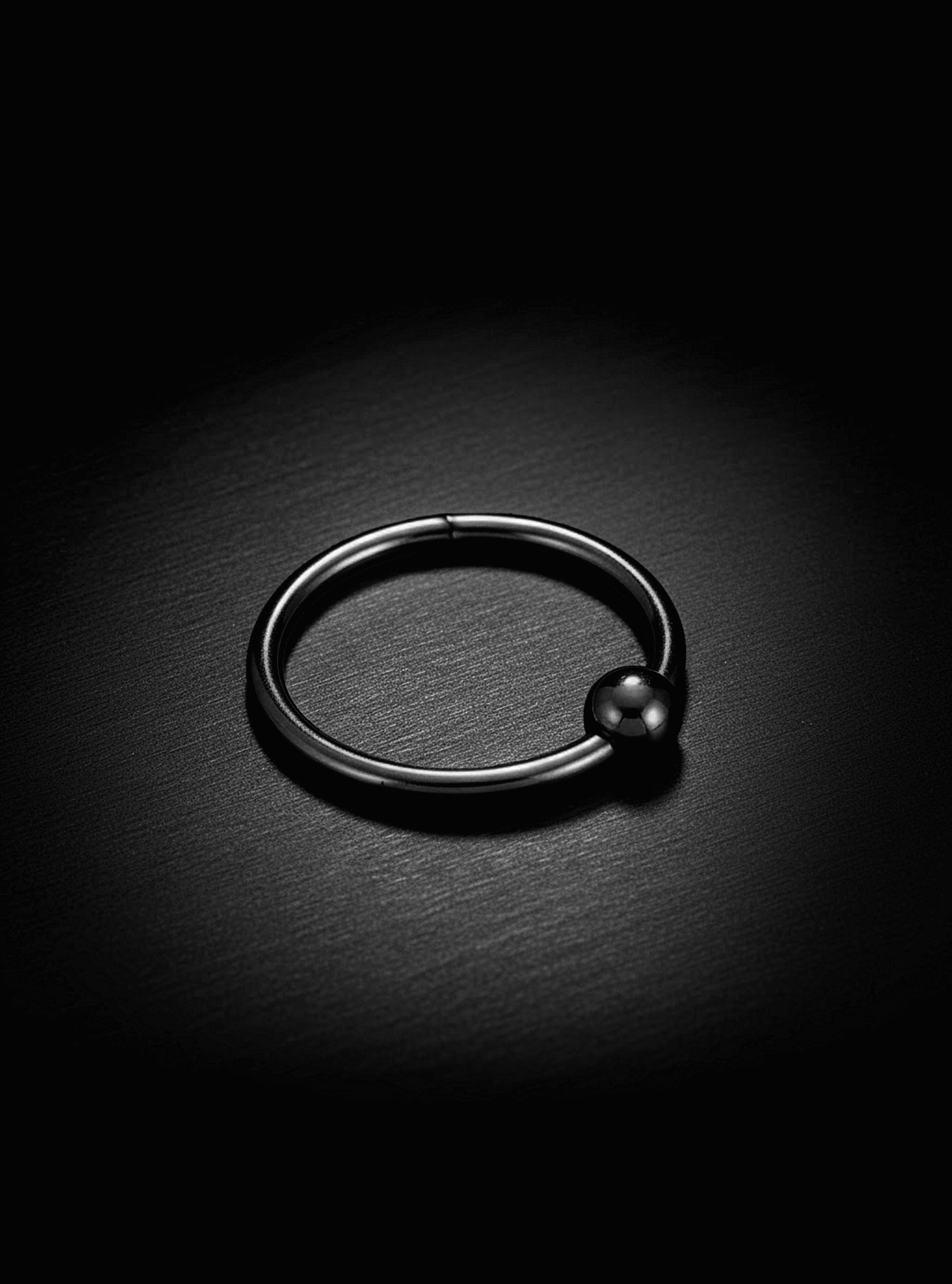 Ball Closure Hinged Segment Ring 2pc (Titanium - Black)