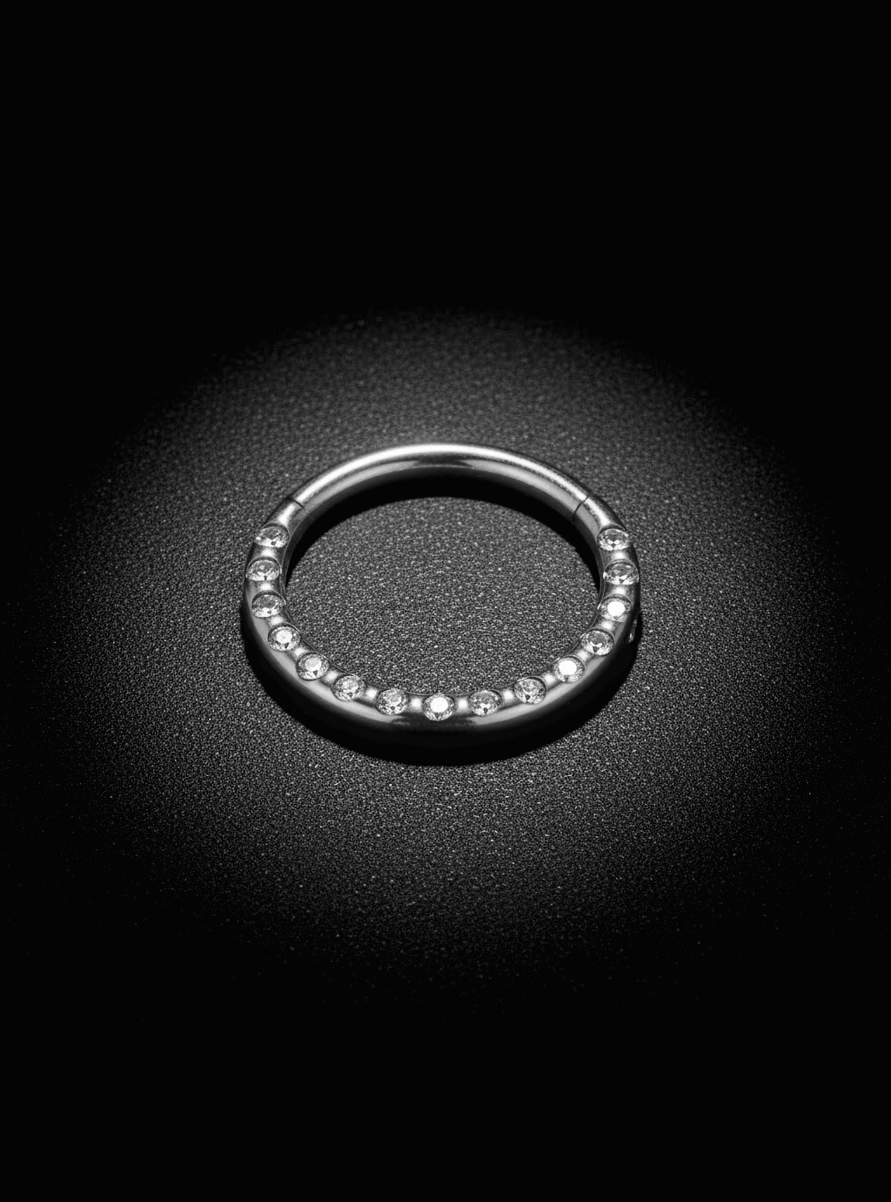 G23 Titanium Hinged Hoop Gem Segment Ring | 16G Body Jewellery | 2pc (Titanium - Plain)