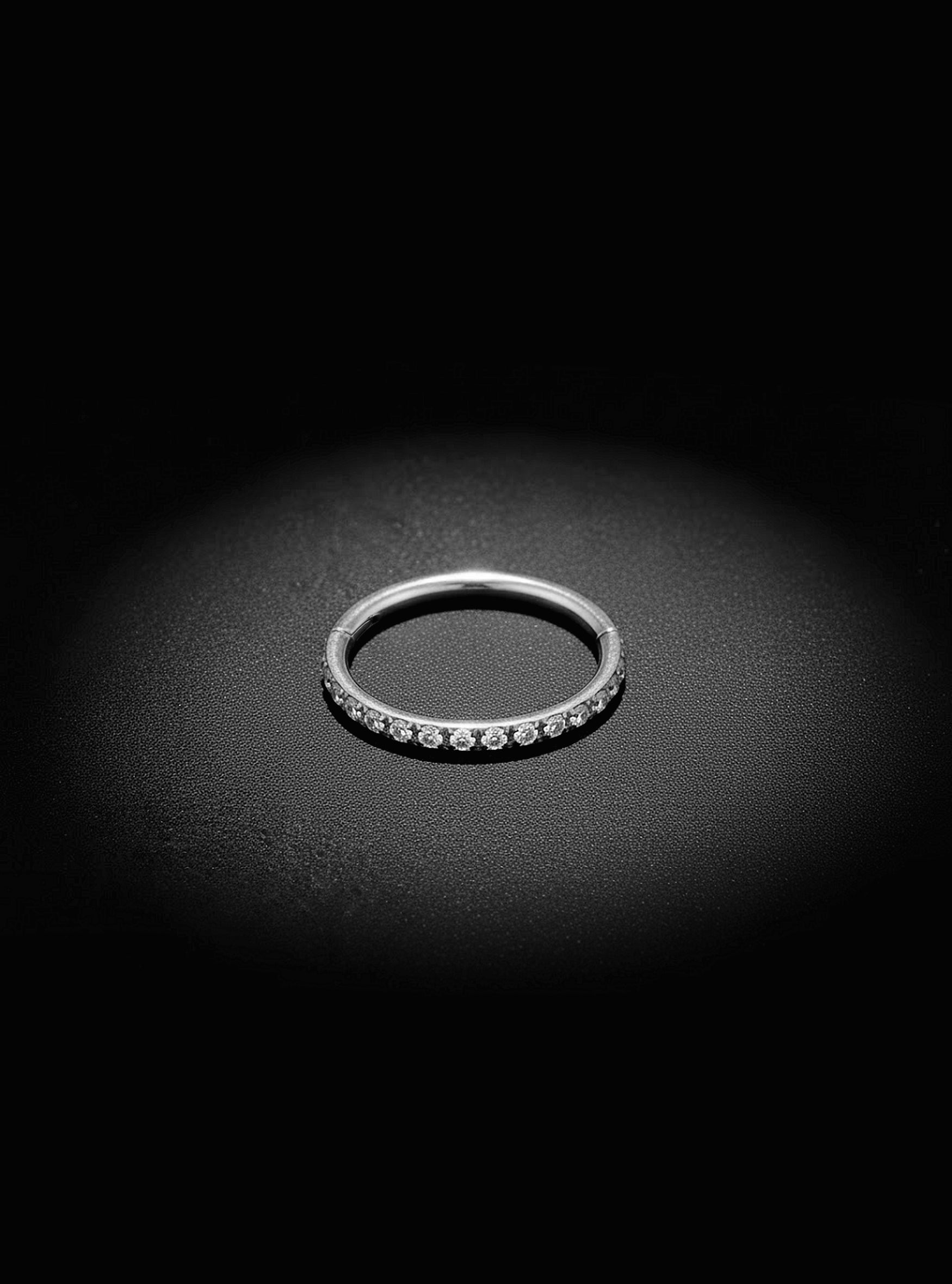 G23 Titanium Hinged Hoop Gem Segment Ring | 16G Body Jewellery | 2pc (Titanium - Plain)