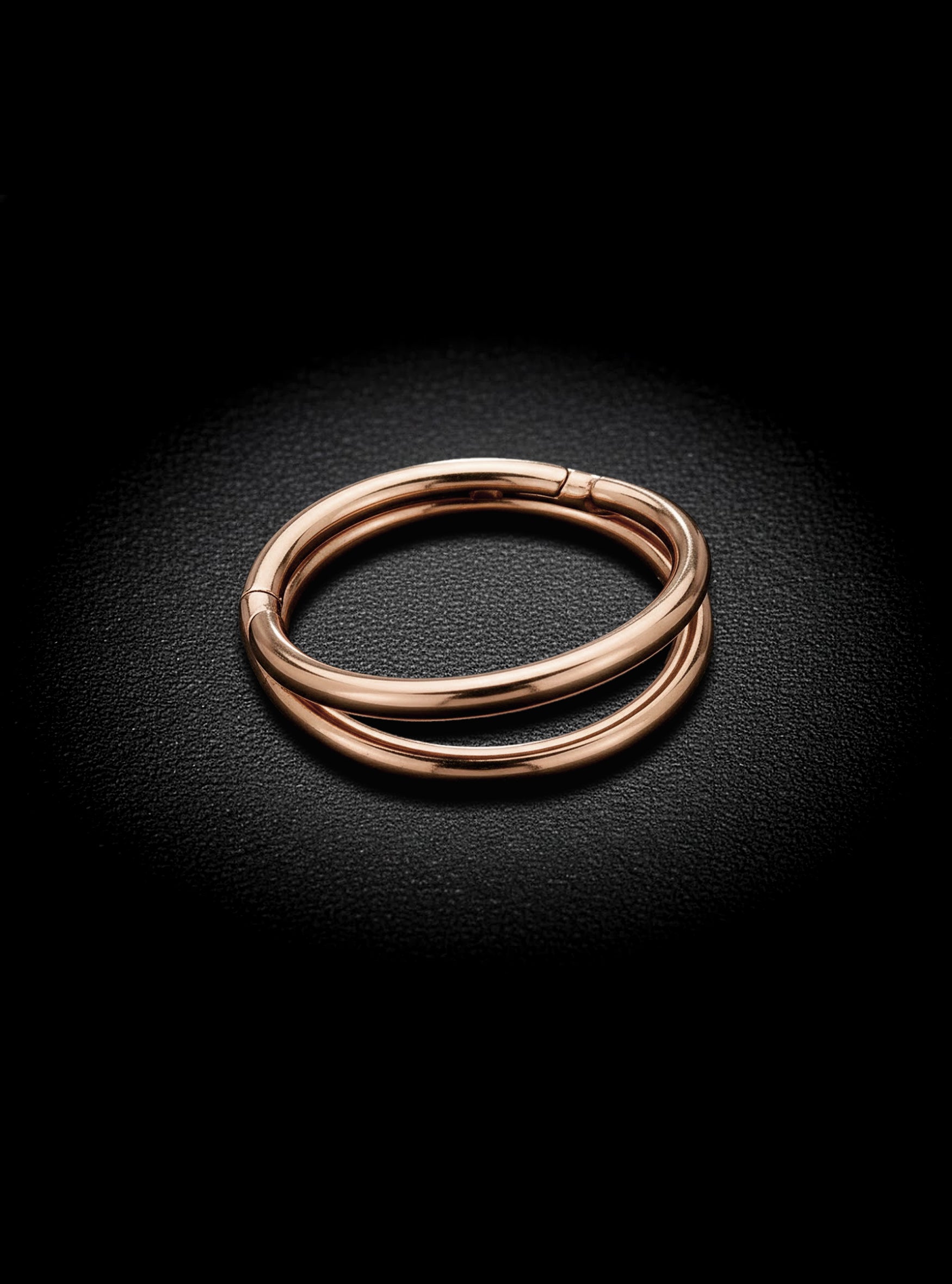 Double Hinged Segment Ring 2pc (Titanium - Rose)