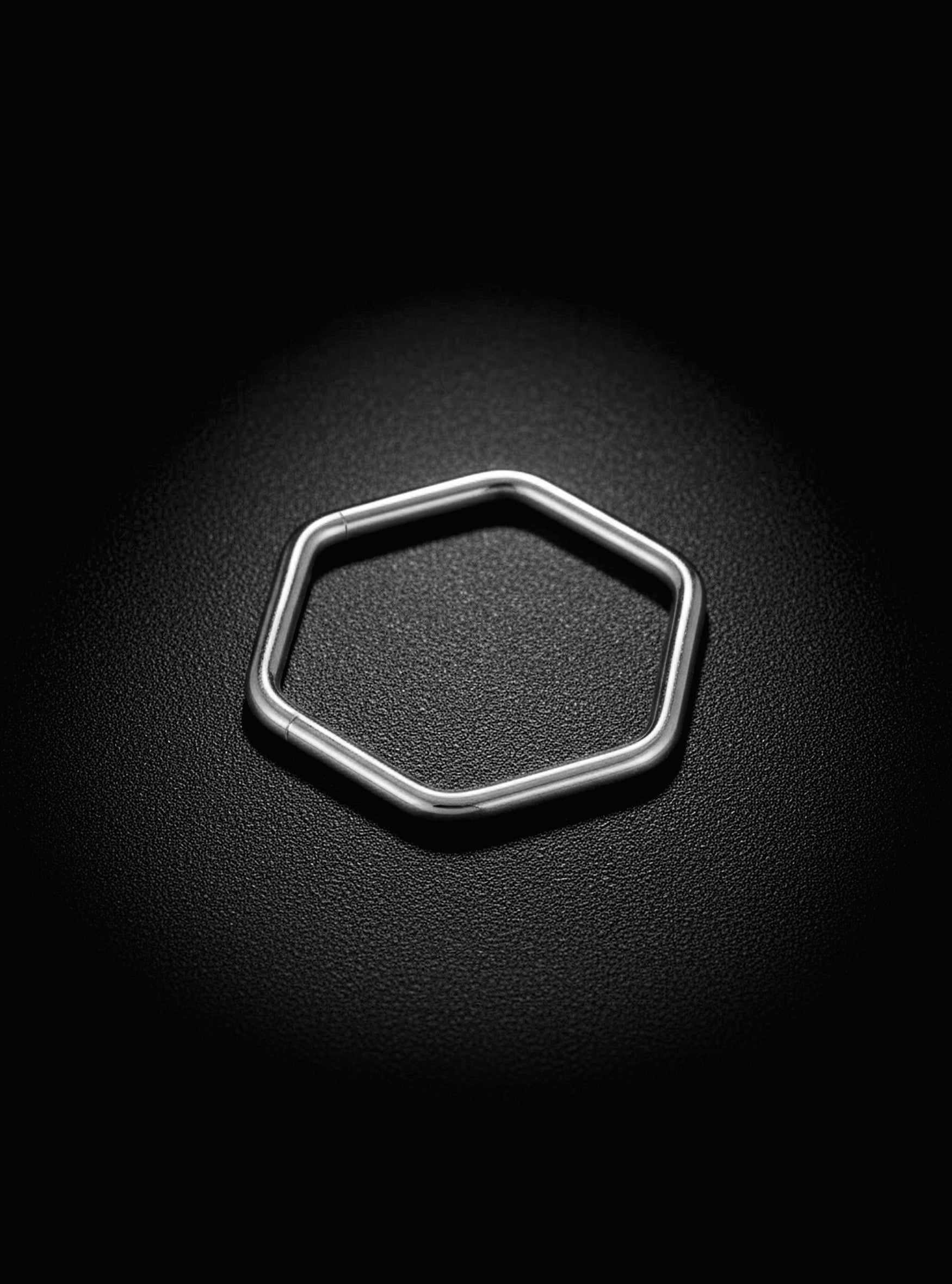 G23 Titanium Hexagonal Hinged Segment Ring | 16G Body Jewellery | 2pc (Titanium - Plain)