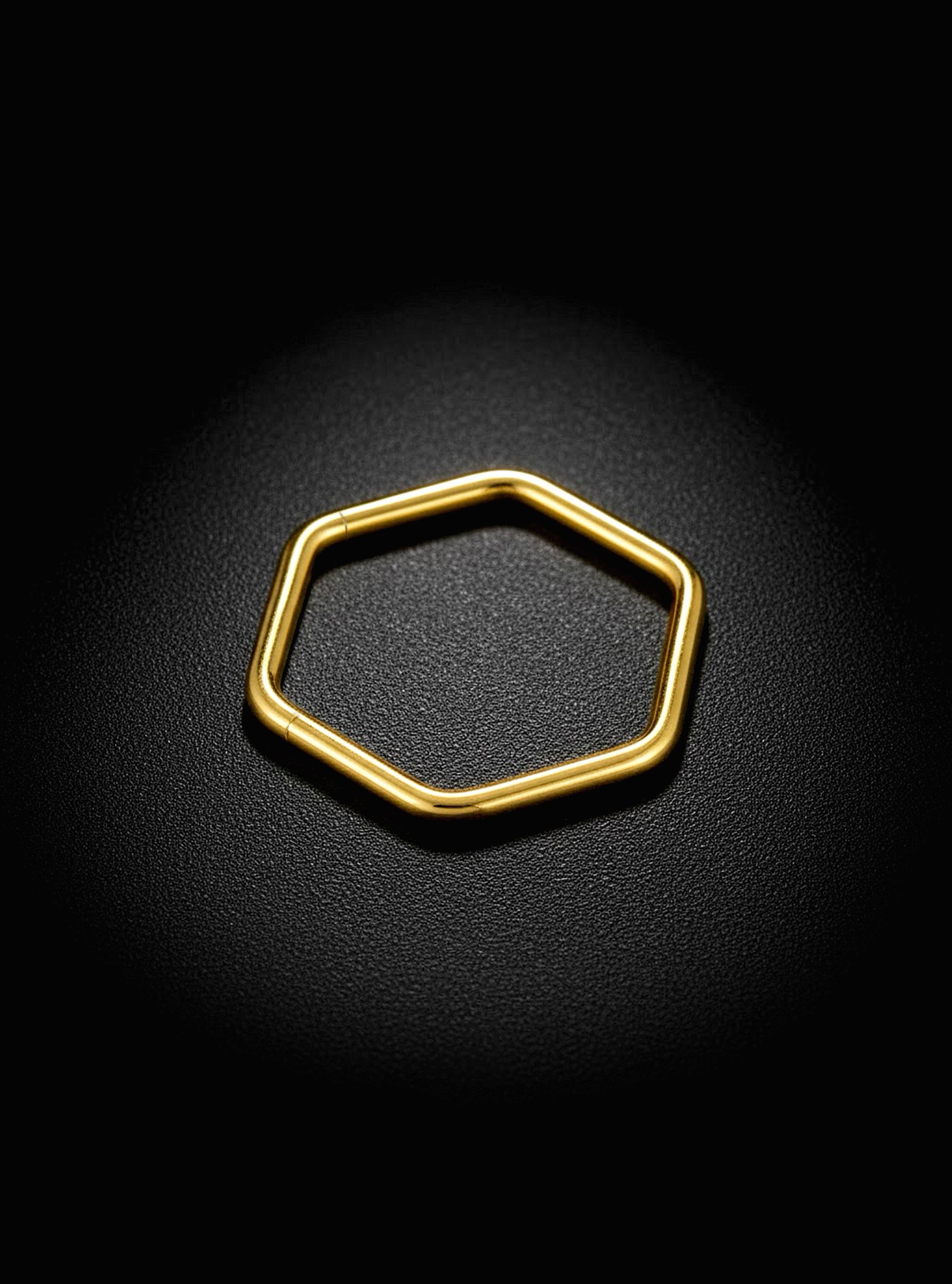 G23 Titanium Hexagonal Hinged Segment Ring | 16G Body Jewellery | 2pc (Titanium - Yellow)