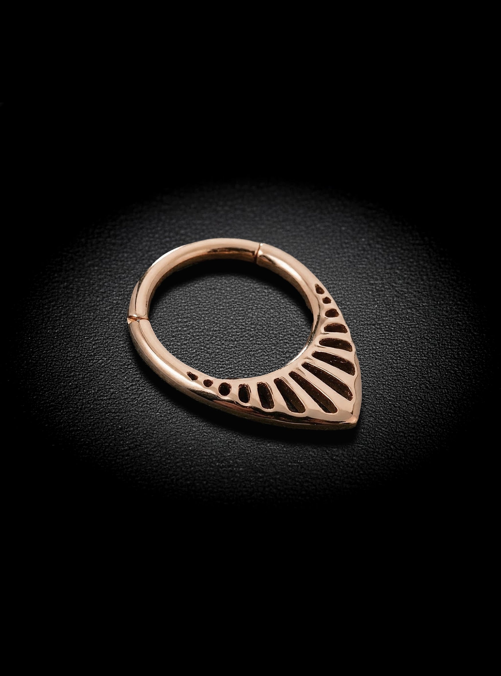 Tear Drop Hinged Hoop Segment Ring 2pc (Titanium - Rose)