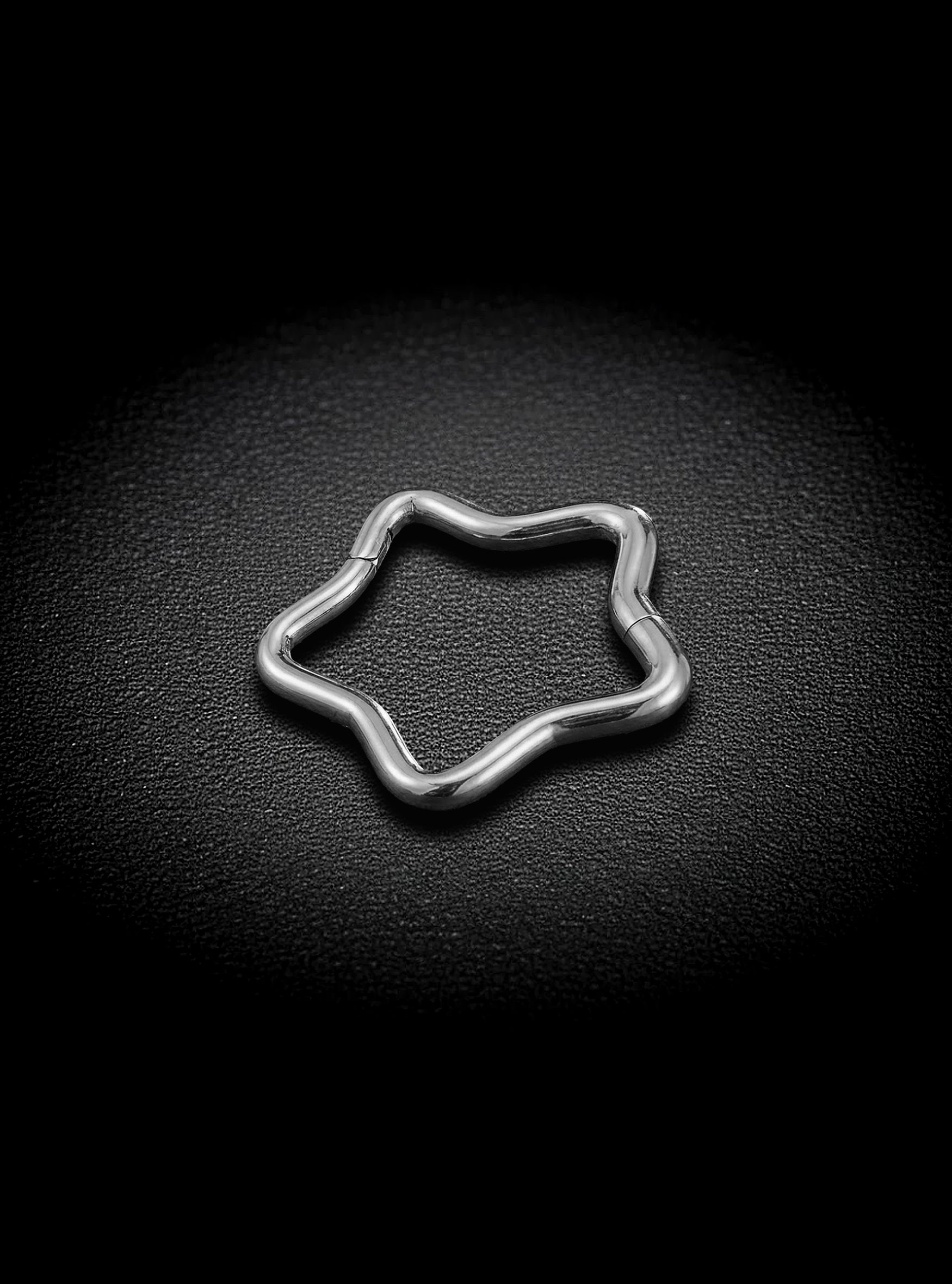 G23 Titanium Star Hinged Hoop Segment Ring | 16G Clicker | 2pc (Titanium - Plain)