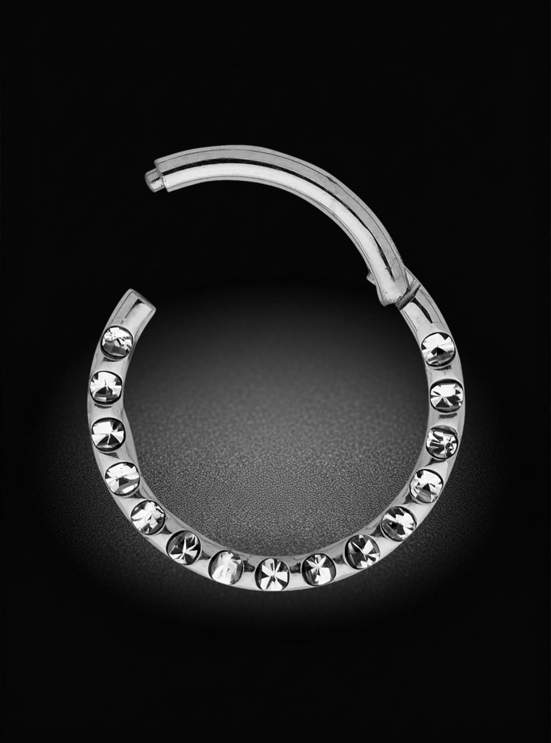 G23 Titanium Hinged Hoop Gem Segment Ring | 16G Body Jewellery | 2pc (Titanium - Plain)